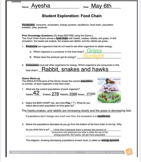 2019 Student Exploration: Food Chain Vocabulary: consumer, ecosystem, energy pyramid, equilibrium, food chain, population, predator, prey, producer Prior Knowledge Questions (Do these BEFORE using the Gizmo .) The Food Chain Gizmo shows a food chain with hawks, snakes, rabbits, and grass. In this …
